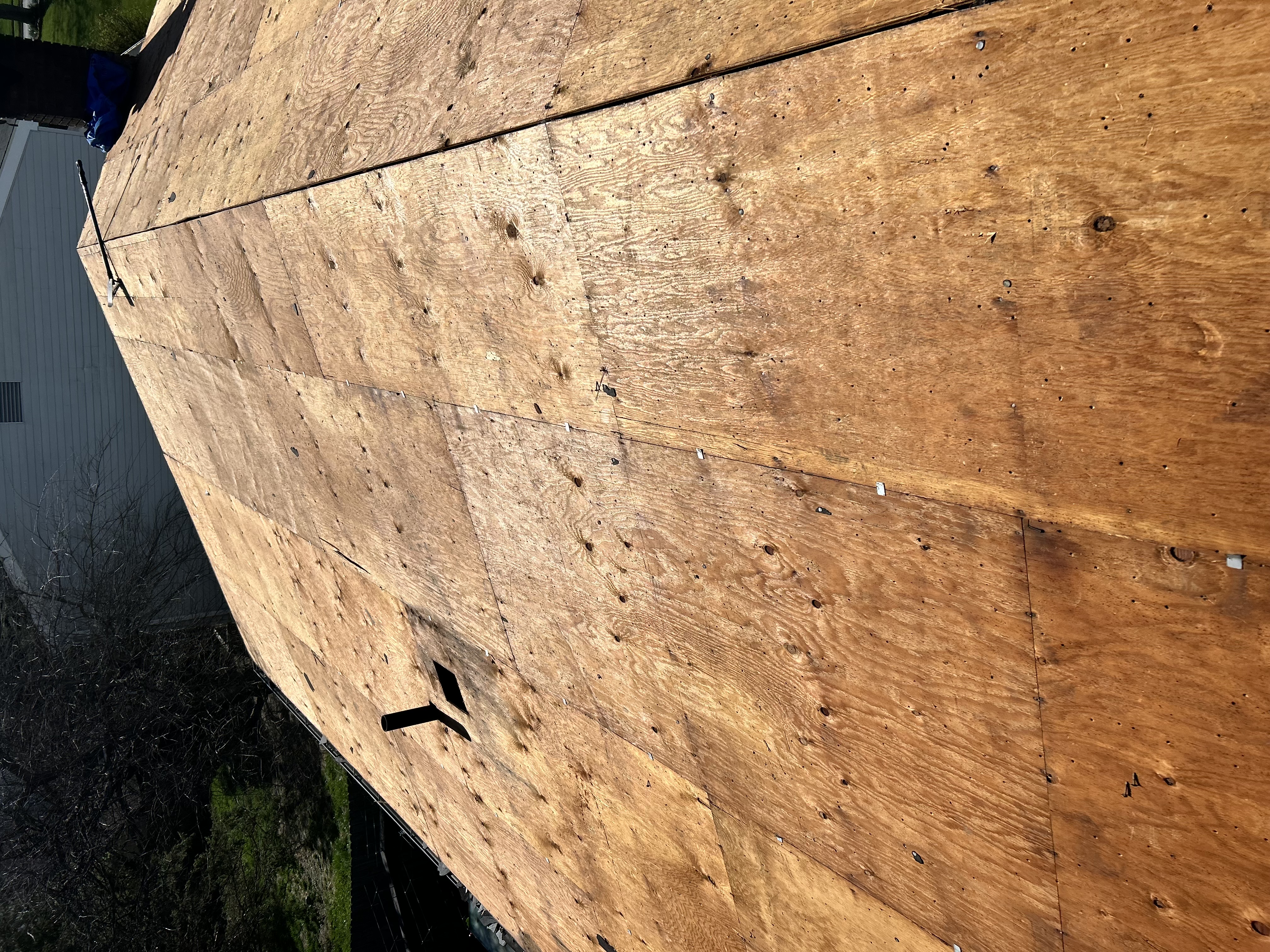 76650511631  3F313221 8BF9 4971 9CE8 407E1FC35103